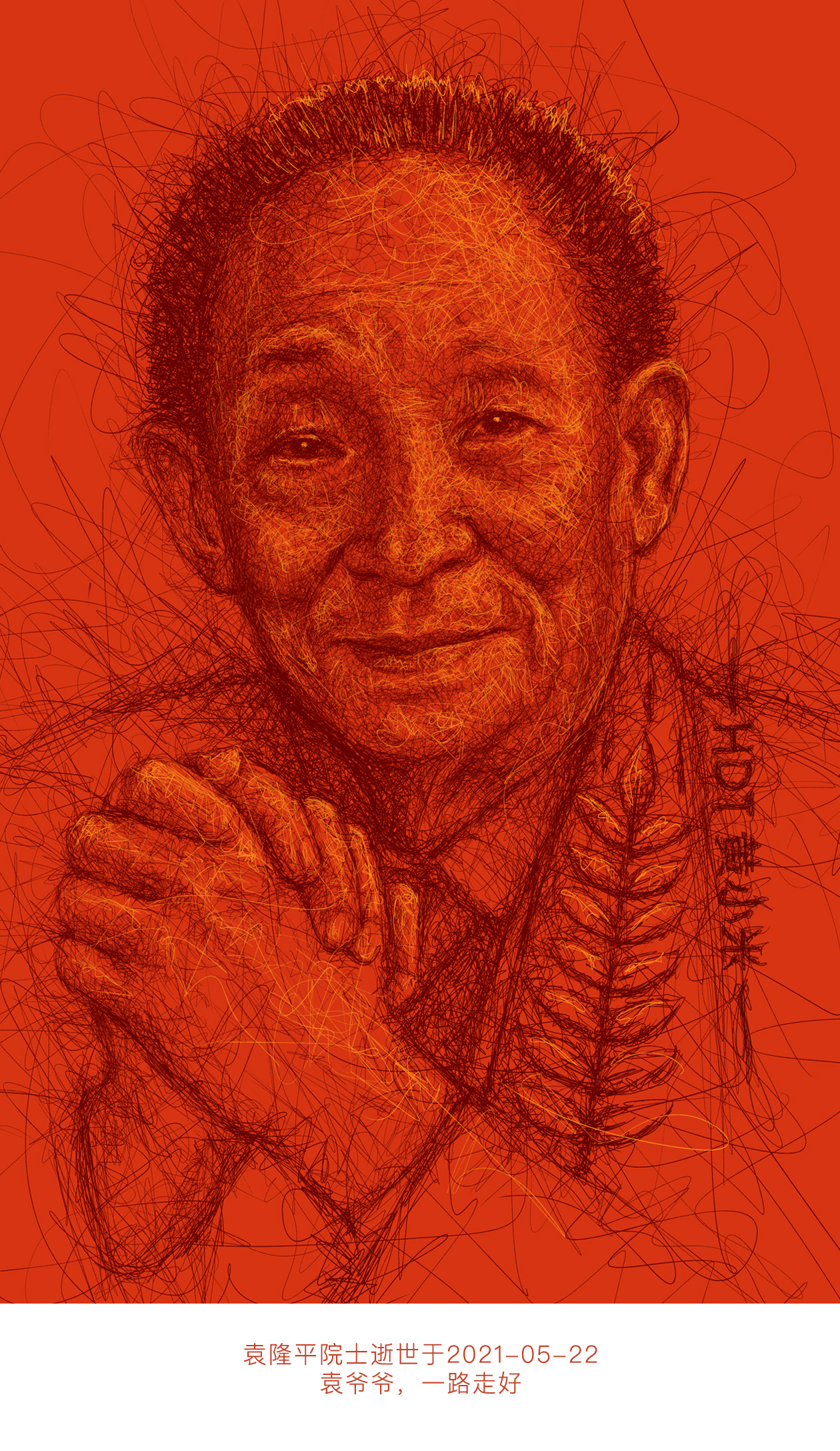 《悼念袁隆平》乱线人物插画