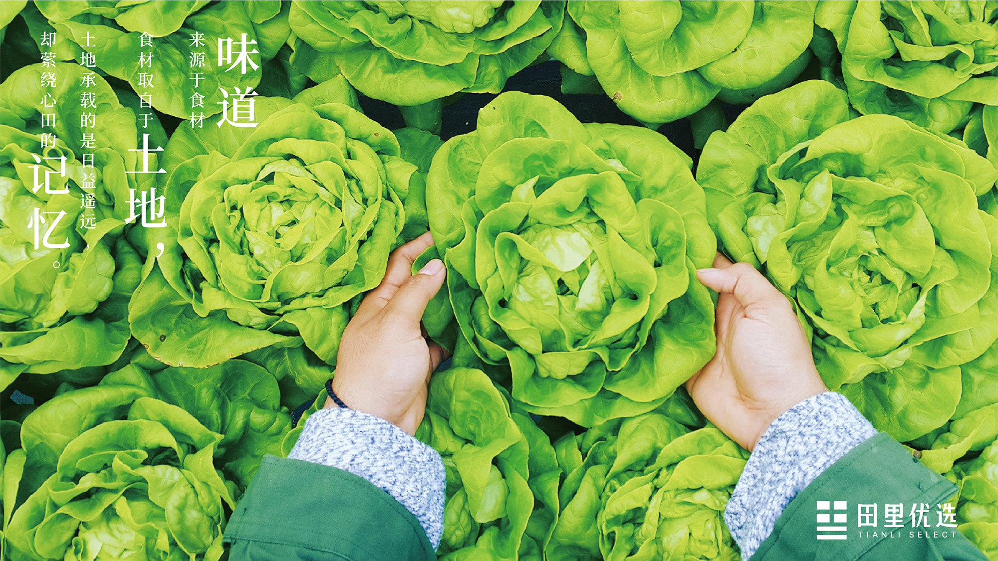 田里优选 × 3721设计 | 阡陌纵横，乡味四通
