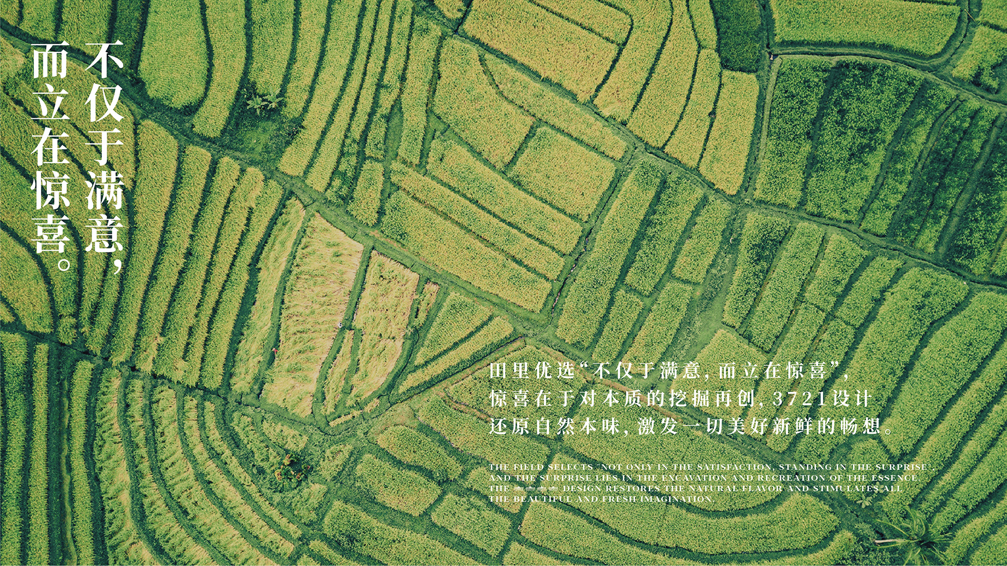 田里优选 × 3721设计 | 阡陌纵横，乡味四通
