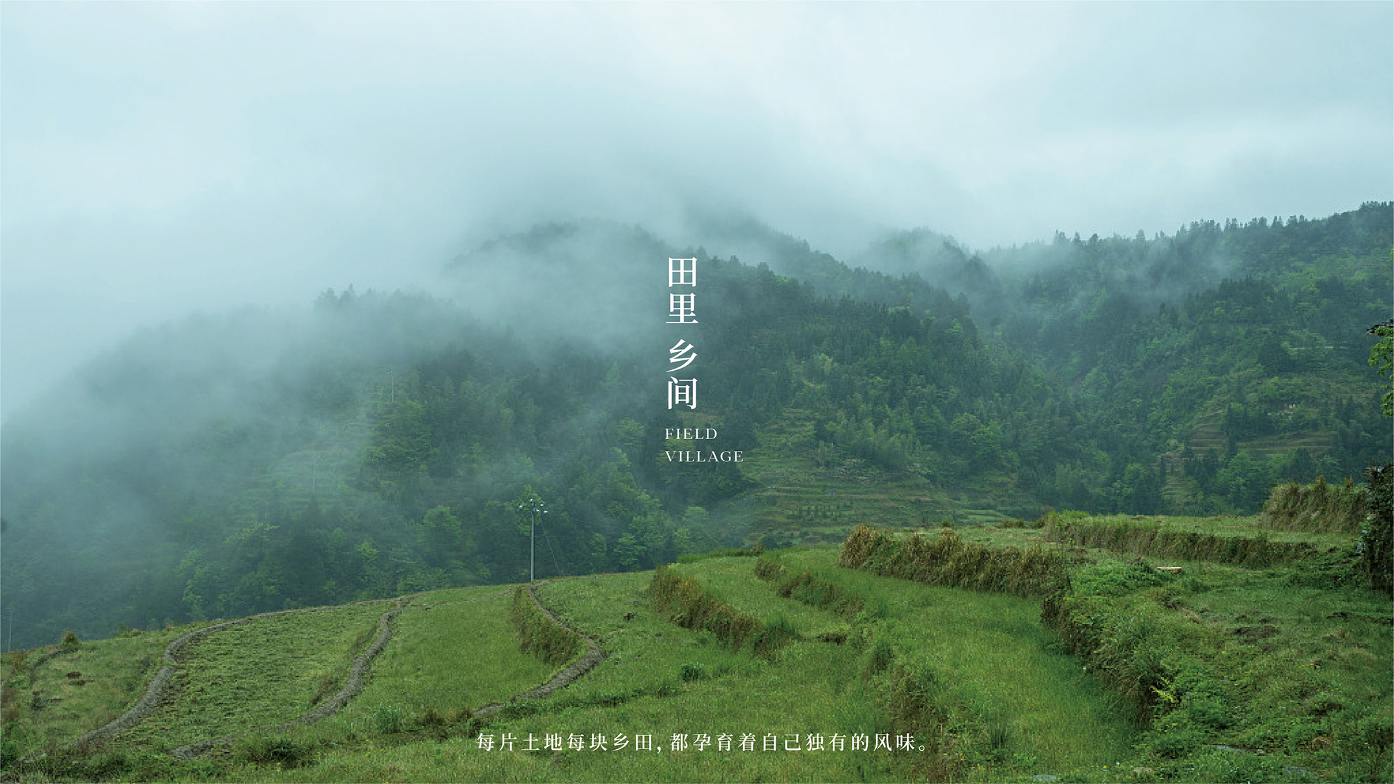 田里优选 × 3721设计 | 阡陌纵横，乡味四通