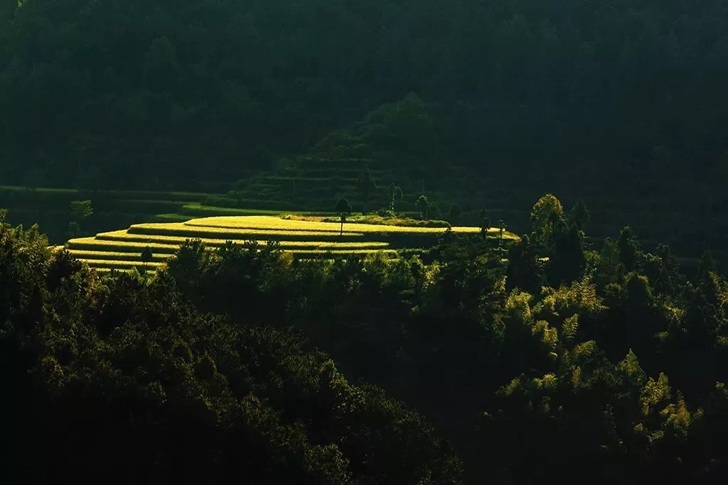 杭州品尚设计｜父亲的房子