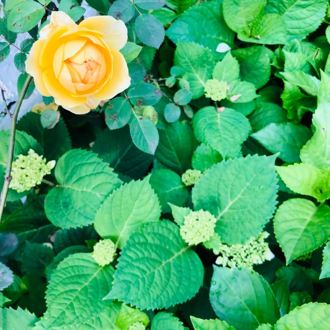 杭州品尚设计｜父亲的房子