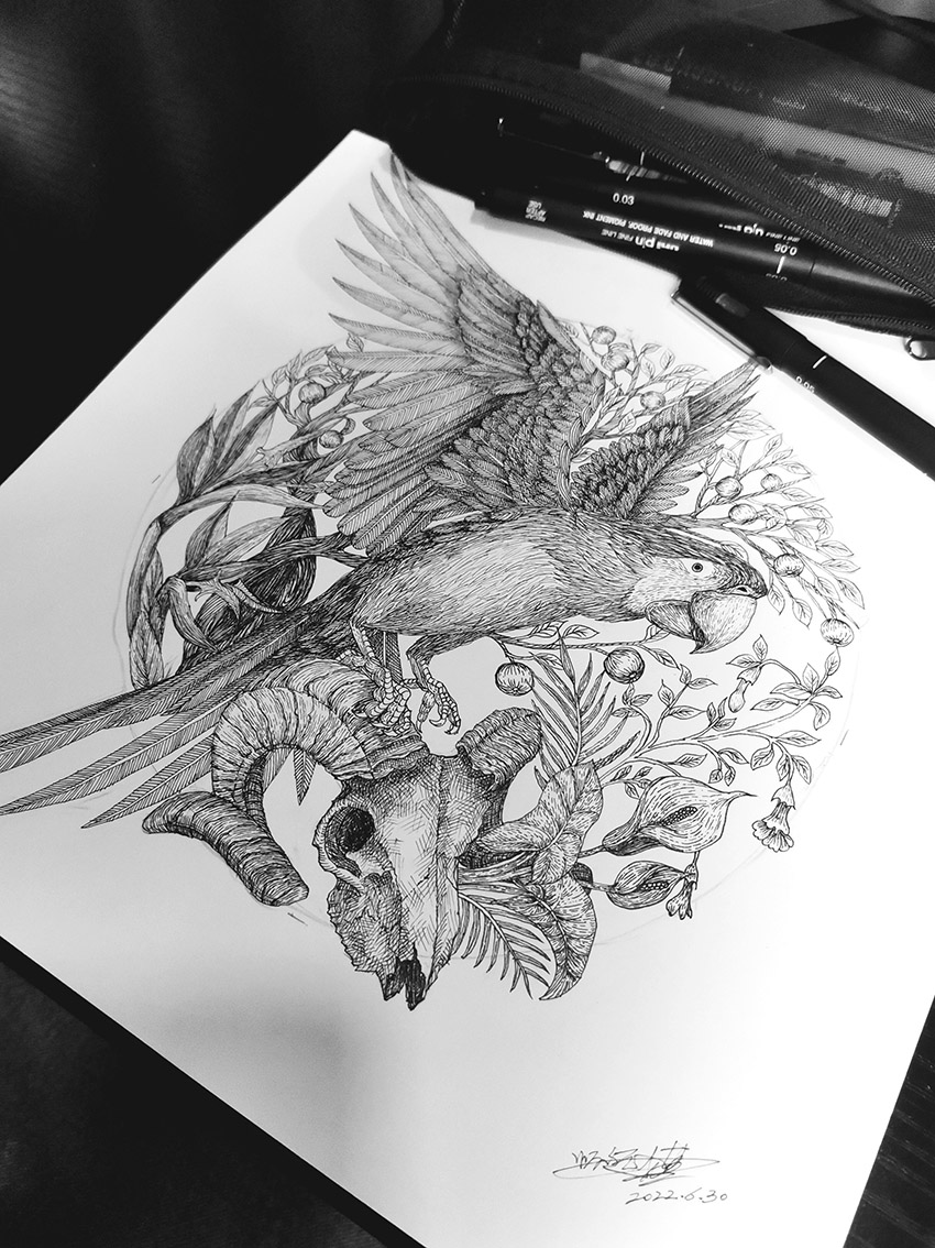 黑白画鹦鹉-随笔