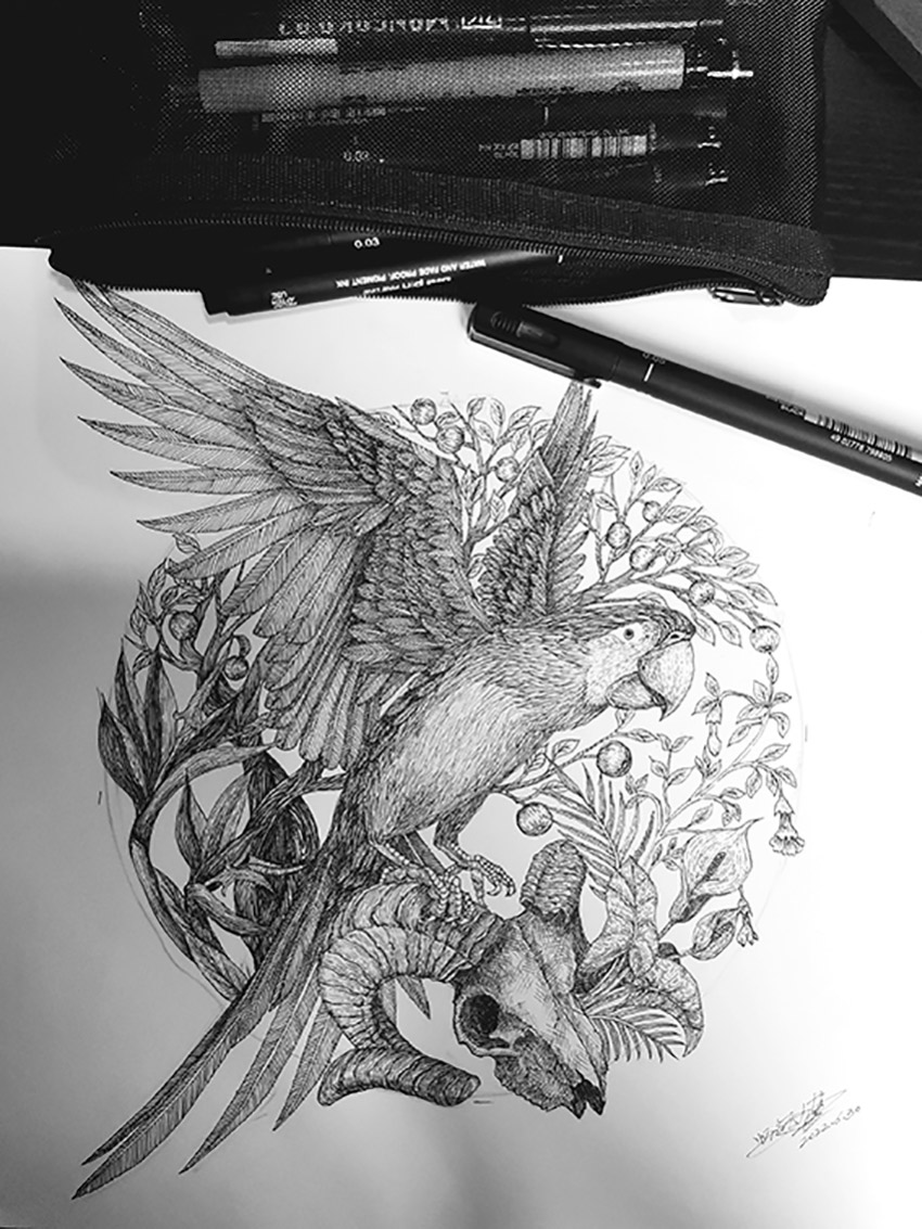 黑白画鹦鹉-随笔