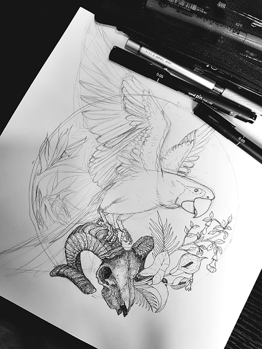 黑白画鹦鹉-随笔