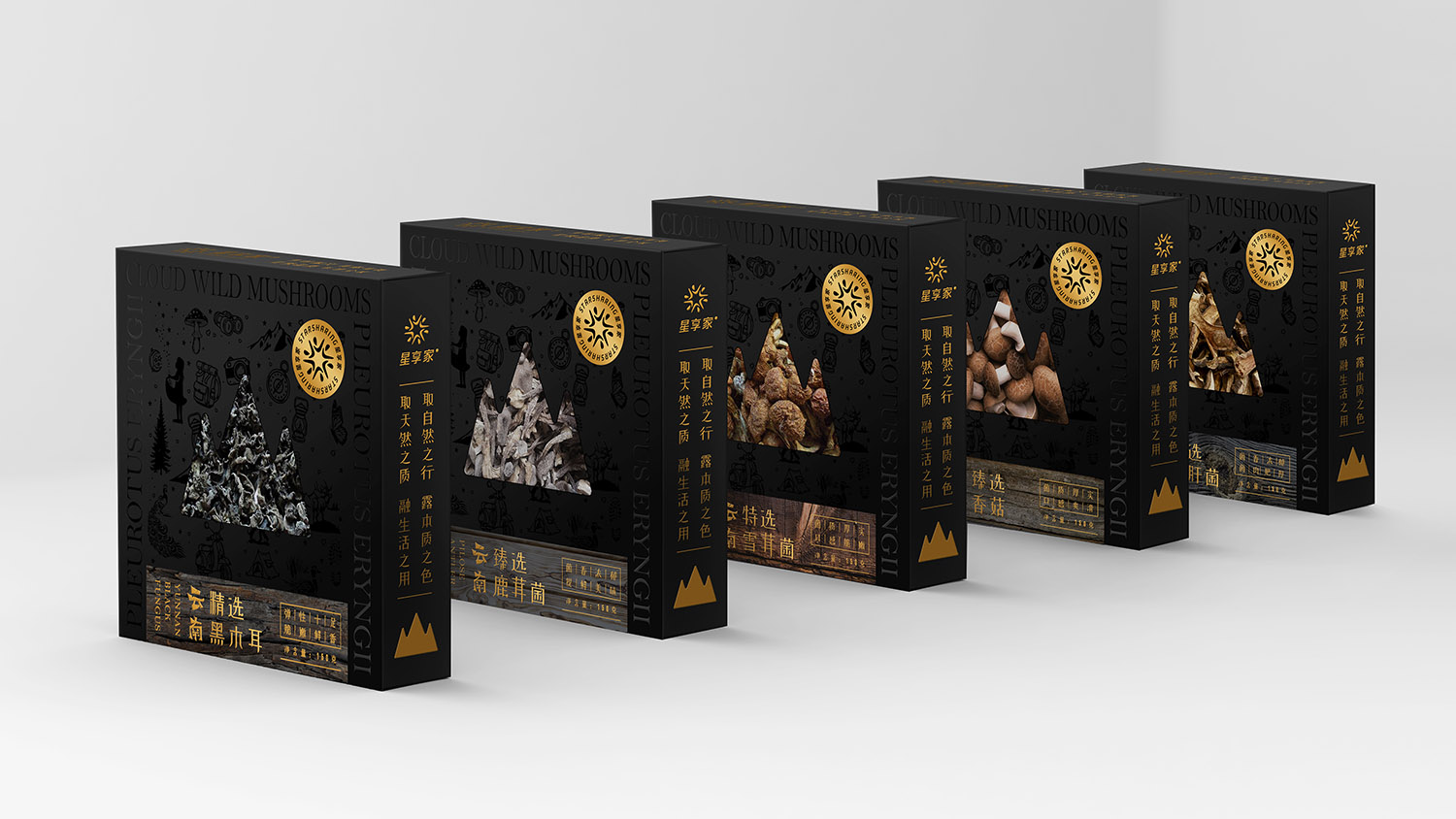 云南扶贫公益x彭狮 I 依山而生 干货满满