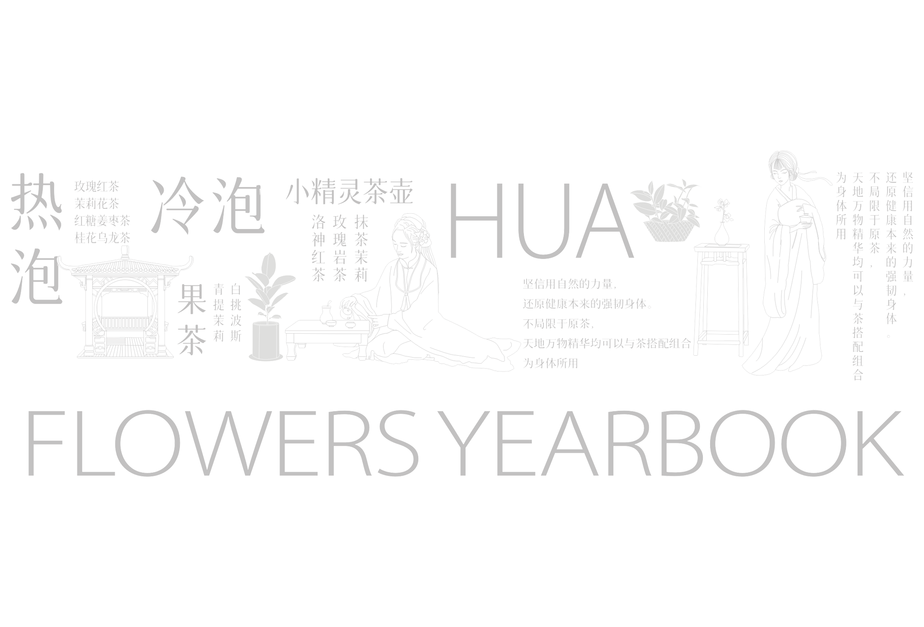 养生茶包装设计 代用茶包装设计 袋泡茶包装设计