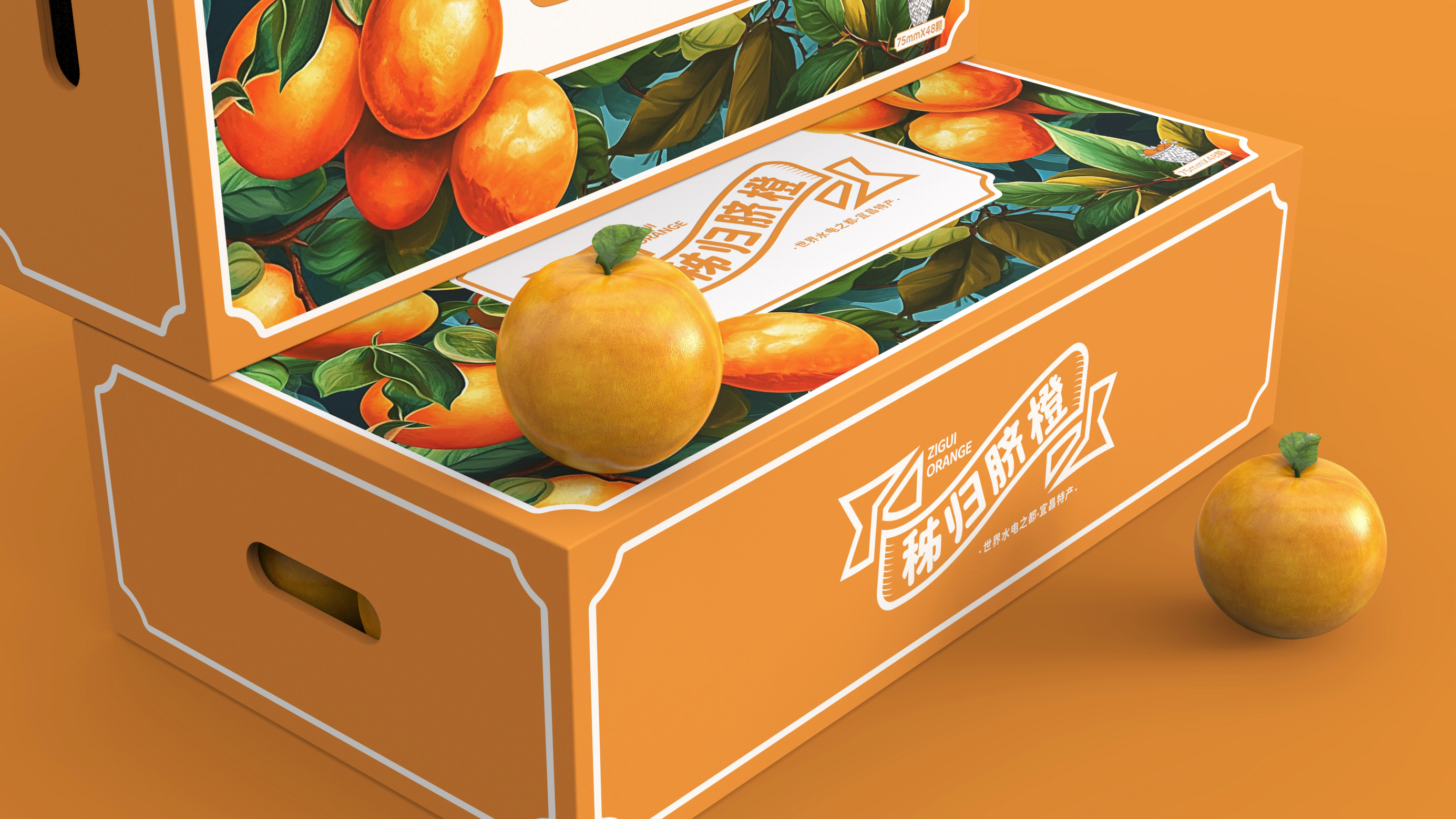 秭归脐橙 | 包装设计 | 原创 插画