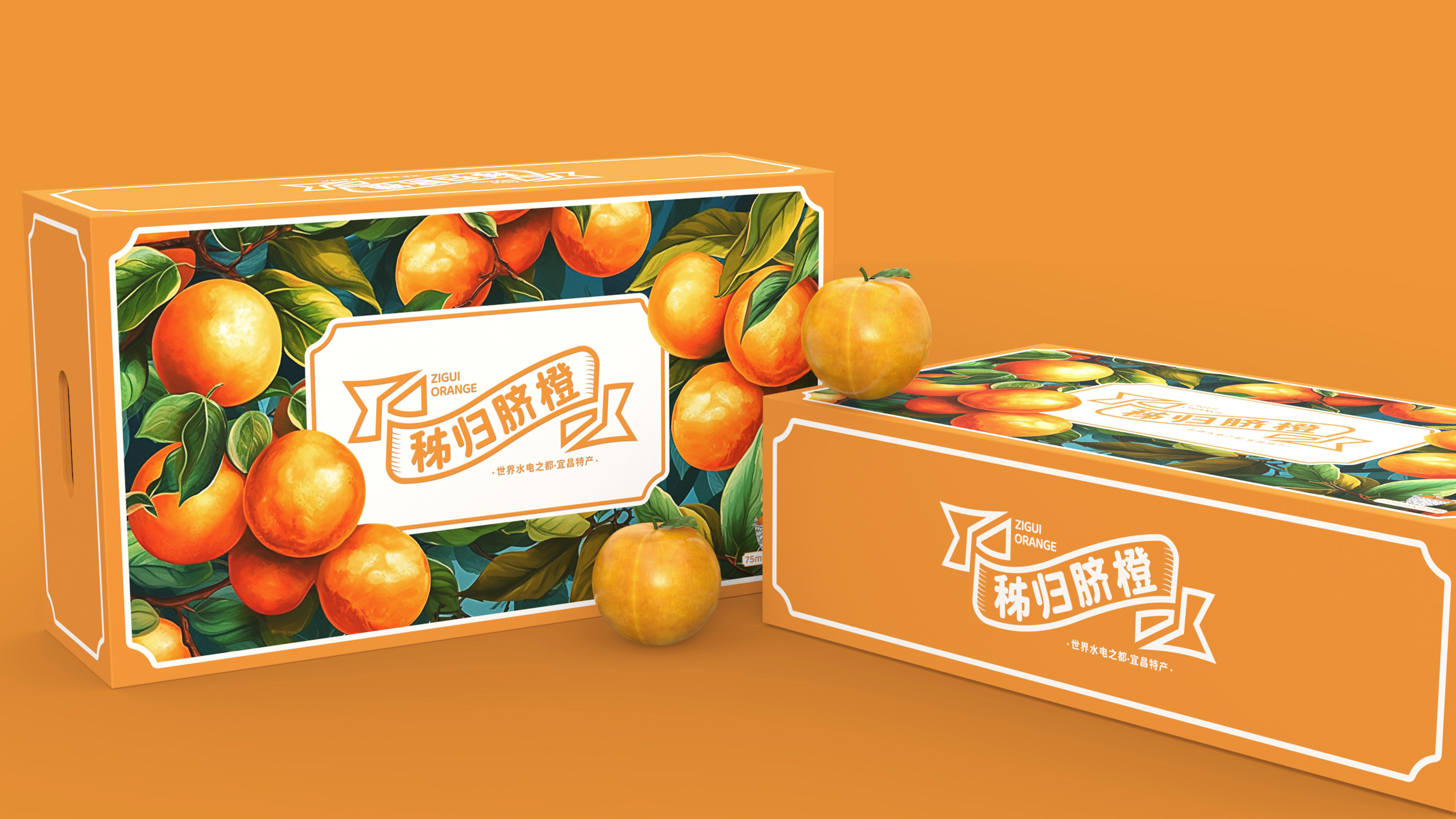 秭归脐橙 | 包装设计 | 原创 插画
