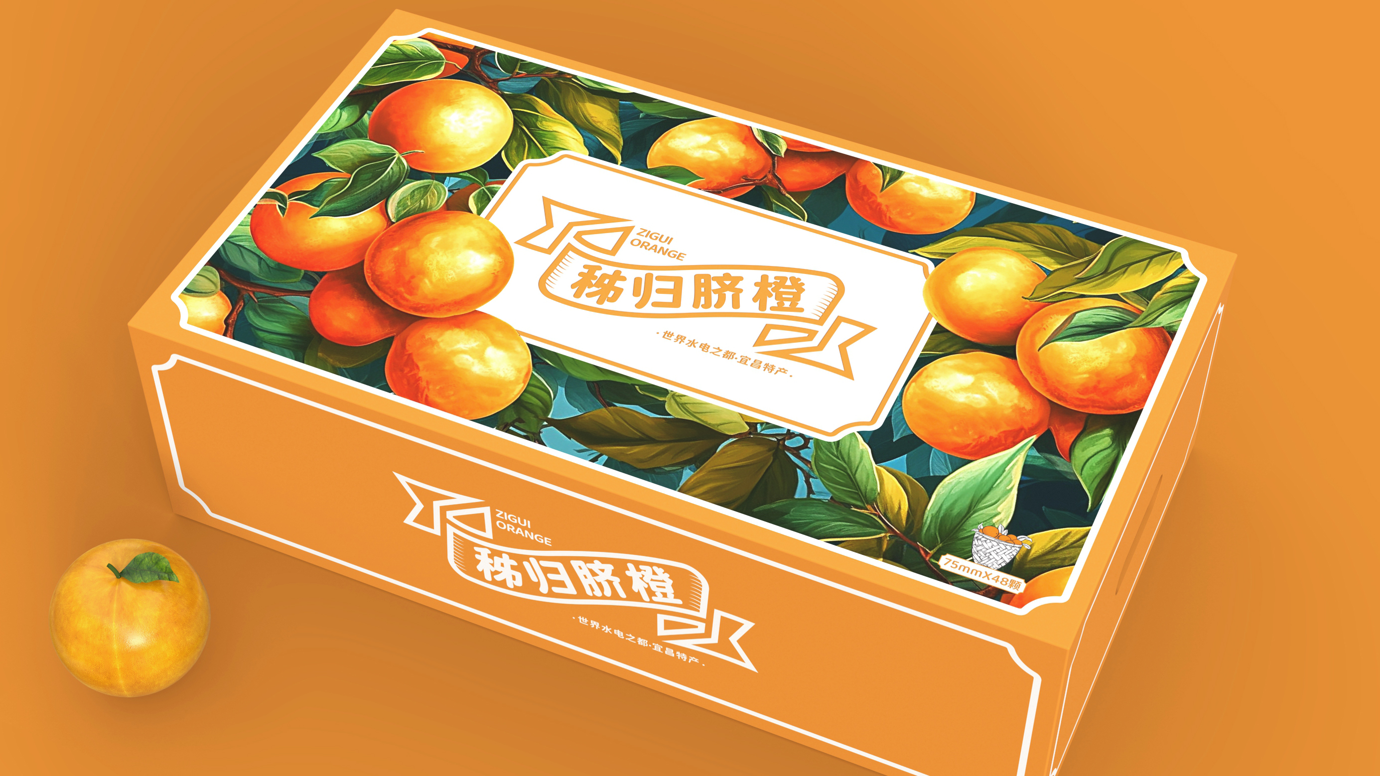 秭归脐橙 | 包装设计 | 原创 插画