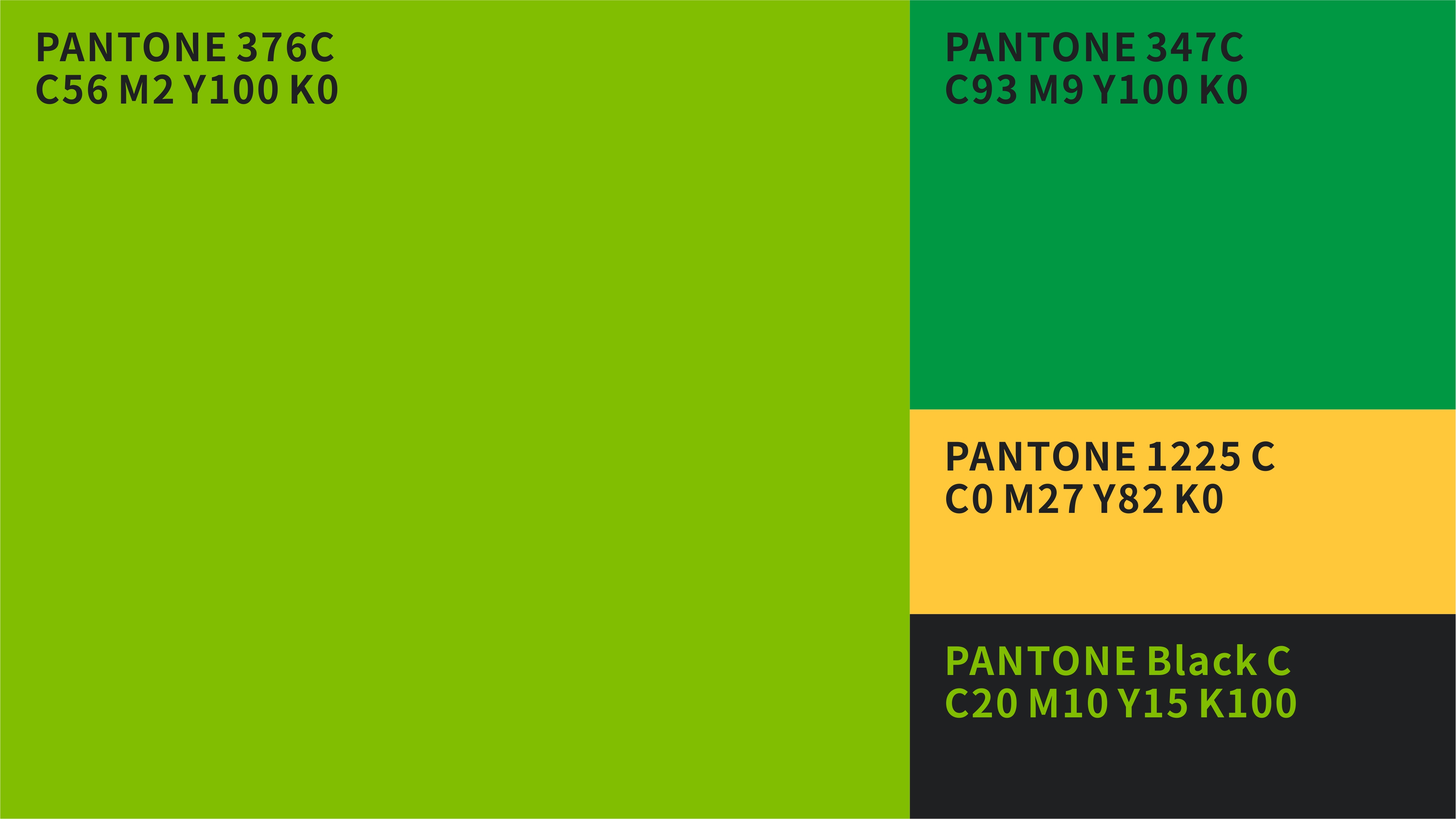 粽侠 | 粽子包装设计 | 原创 卡通 插画