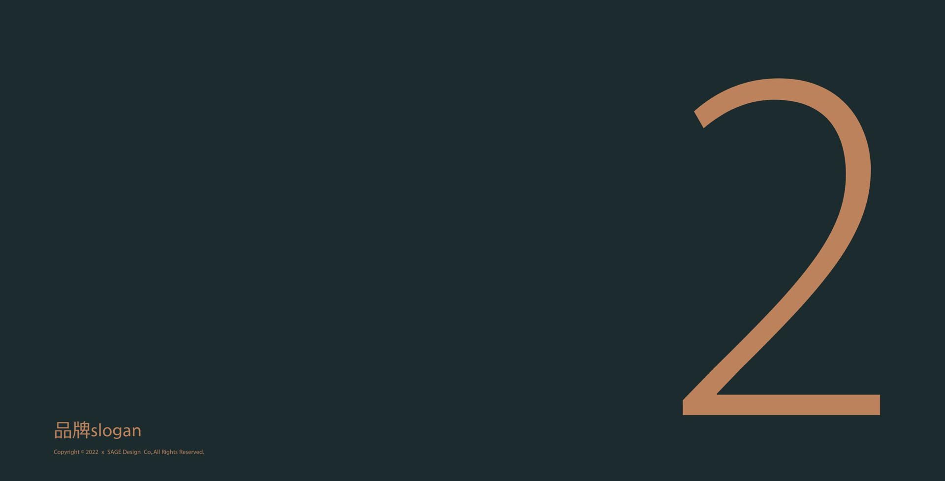 虫草养生茶包装设计 养生茶礼盒包装设计